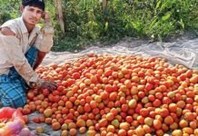 How can we tackle the problem of lives and their livelihood of Bharat?