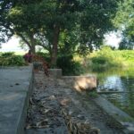 Pond of Gram Panchayat Dumaria