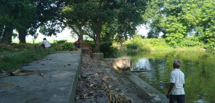 Pond of Gram Panchayat Dumaria